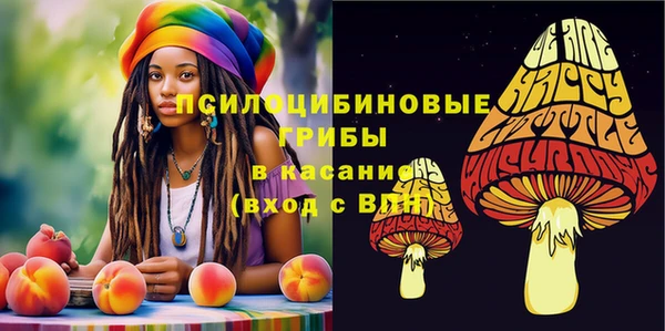 метадон Беломорск